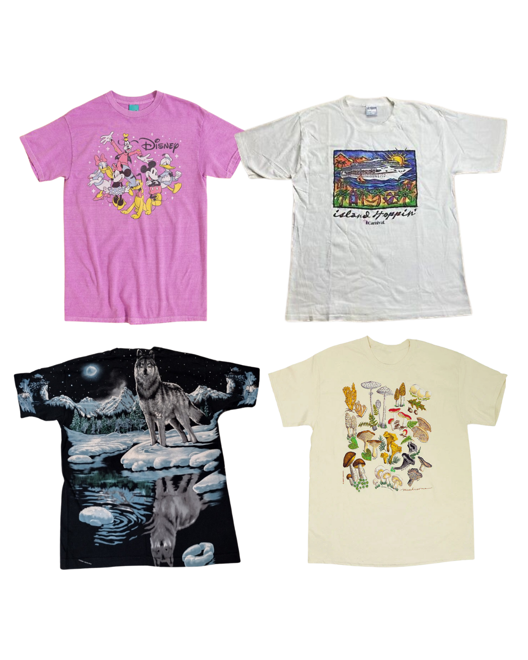 50 x Animal, Nature & Cartoon T-shirts